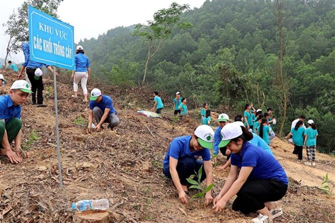 Thủ tướng phê duyệt Đề án trồng 1 tỷ cây xanh